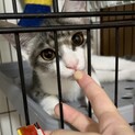 おっとりボーイの麻婆くん　3ヶ月「中華三兄弟」