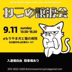 名古屋市守山区/ねこの譲渡会/0911