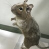 池さと
