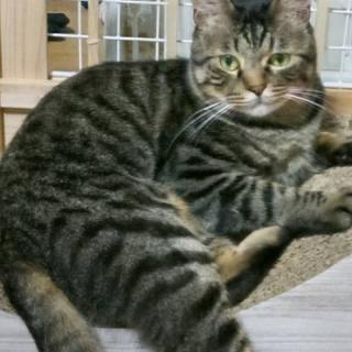 ゆったり穏やかな　しゅうちゃん