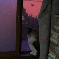 「秋～落陽」サムネイル2