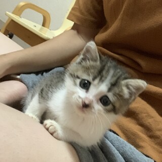 【食いしん坊の甘えん坊さん】ちなちゃん