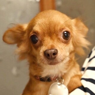 フワッと癒し系で元気いっぱい！どっちも魅力的♪♪