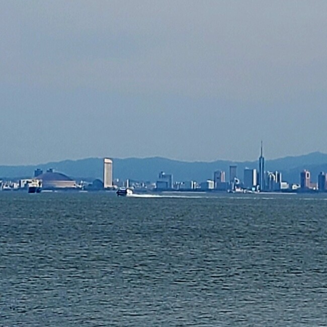 ma-yooのカバー写真