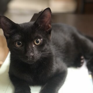 抱っこ大好きなTAKA君です