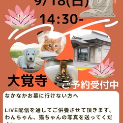 ねこの譲渡会&秋のお彼岸会 サムネイル2