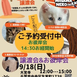 ねこの譲渡会&秋のお彼岸会 サムネイル1