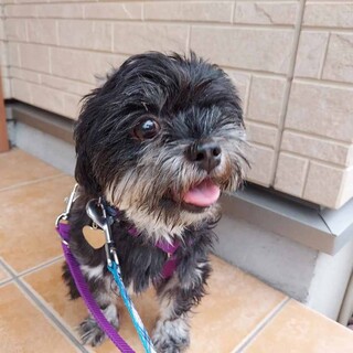 「寧々」女の子