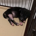生後2ヶ月ぐらいの小さな男の子