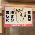 デグー  