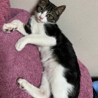 可愛いさ全開！　元気いっぱい男の子