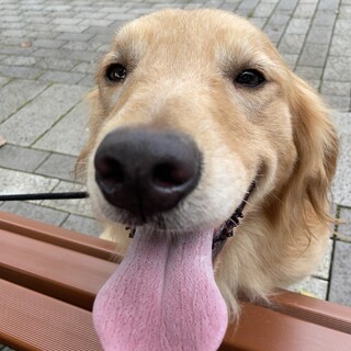 3歳の女の子です