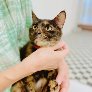 お膝が大好き!　ルナです。