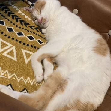 ♡