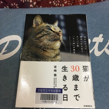 の写真