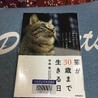 の写真