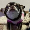 里親様、決まりました。ありがとうございました。