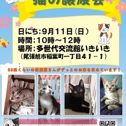 保護猫の譲渡会atいきいき