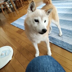 「こもごも。。②」サムネイル2