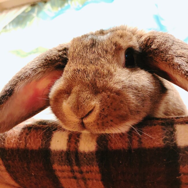 美るくのカバー写真