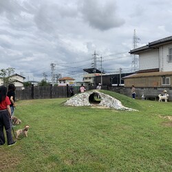総社市ＡＷＡしつけ教室　＜雨天決行＞定員になりました サムネイル2