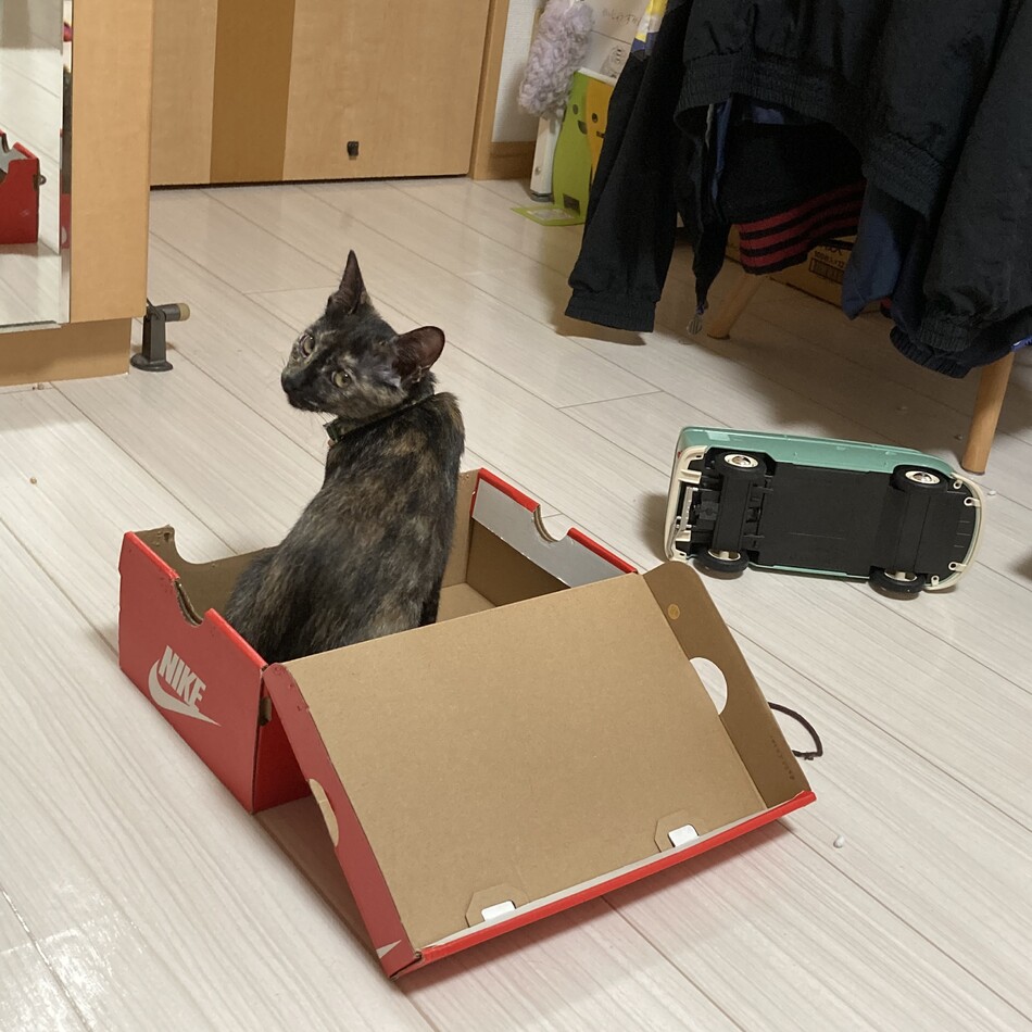 ララのカバー写真