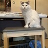 まいまい0412