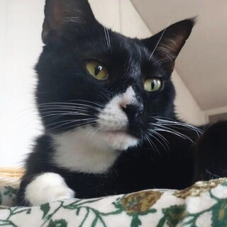 食いしん坊で癒し効果抜群のまったりした男の子!