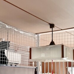 「保護猫の部屋DIY~４~」サムネイル2