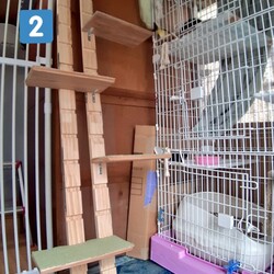 「保護猫の部屋DIY~４~」サムネイル3