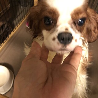 ありがたいことにご家族に迎えていただきました