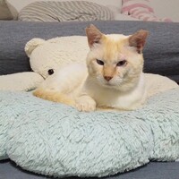 しーちゃん