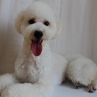 いぶきちゃん　推定1才