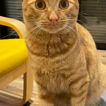 里子に出した子達