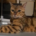 もうすぐ4歳になります