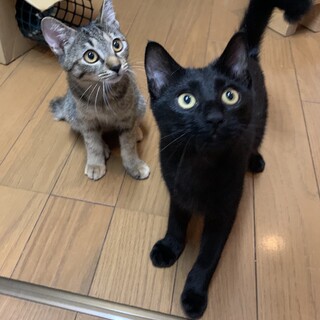 ラブリー兄妹・青葉＆若葉　Instagramに動画