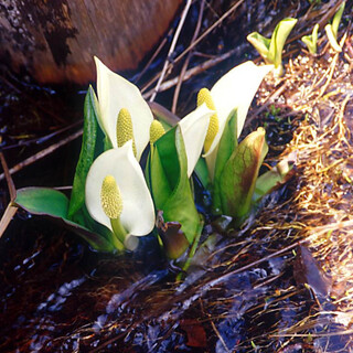 おわりました。