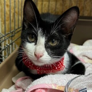 元気な女の子オーラちゃん4.5ヶ月♪