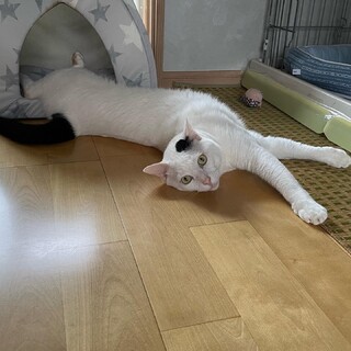 仲良し親子ずっと一緒に