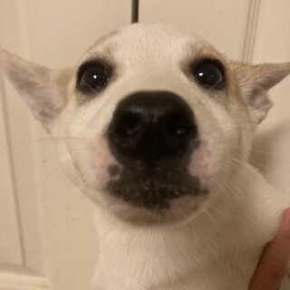 優しいお顔の男の子