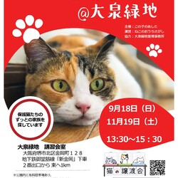 第13回☆ねこのおうちさがし@大泉緑地