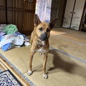時間がありません。助けてください。