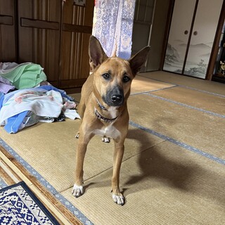 時間がありません。助けてください。