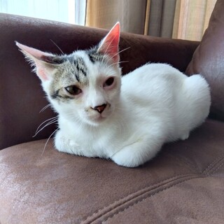 ビビりだけど甘えん坊！誠くん