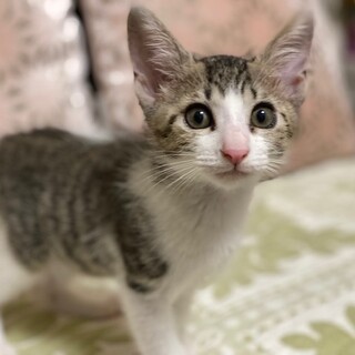 甘えん坊のたっくん