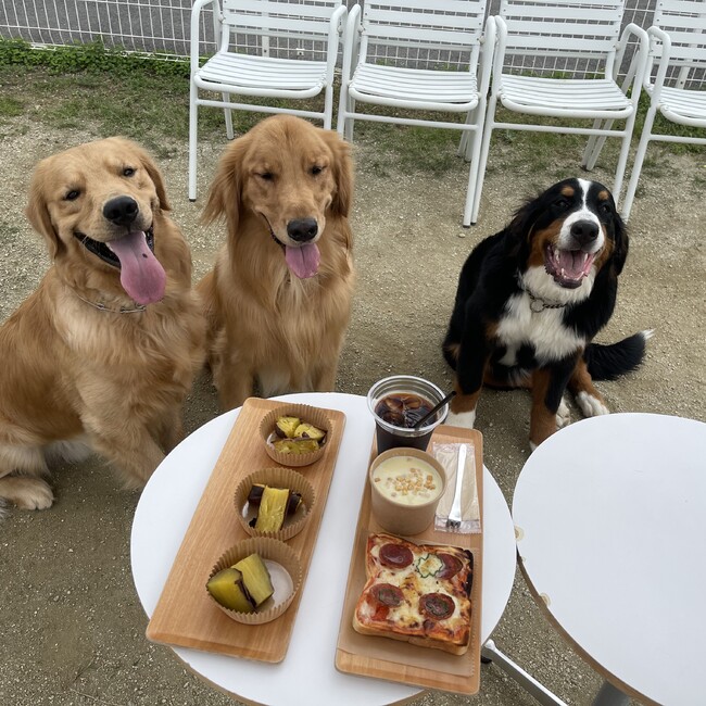 あゆほんのカバー写真