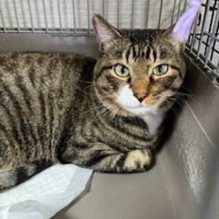 多頭崩壊の現場にいた月餅くん♪