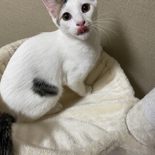 性格良しの４兄弟です⭐︎