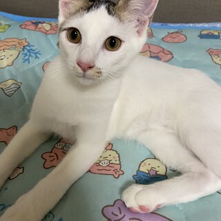 性格良しの４兄弟です⭐︎