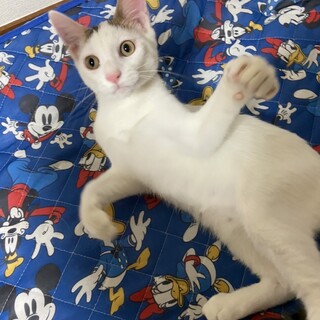 性格良しの４兄弟⭐︎